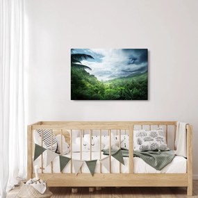 Tablou -Jungla din Seychelles (90x60 cm)