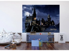 Foto-tapet copii Harry Potter 252 x 182 cm, 4 piese