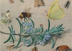 Tablou - Jan van Kessel the Elder, Insects and a Sprig of Rosemary, reproducere (70x50 cm)