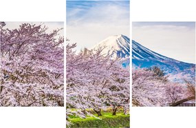Tablou - Japonia în primăvară (90x60 cm)