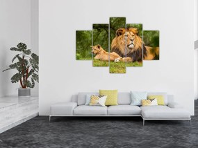 Tablou cu lei (150x105 cm)