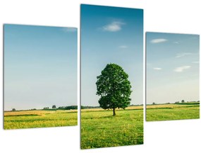Tablu - Copac în luncă (90x60 cm)