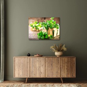 Tablou cu menta proaspătă (70x50 cm)