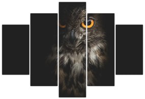 Tablou cu bufnița (150x105 cm)
