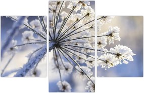 Tablou - Flori înghețate (90x60 cm)