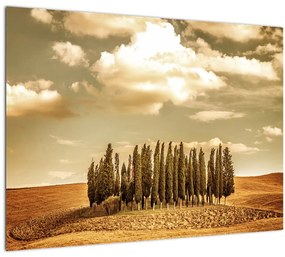 Tablou cu luncă (70x50 cm)