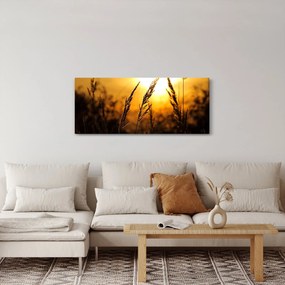 Tablou - Apus de soare (120x50 cm)