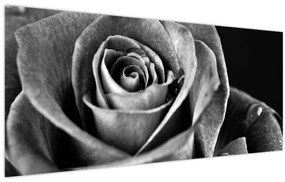 Tablou - Trandafir,alb-negru (120x50 cm)