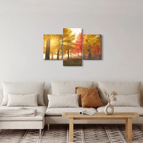 Tablou cu copaci toamna (90x60 cm)