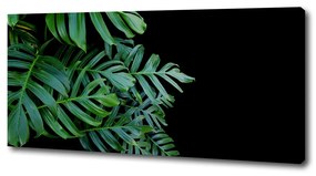 Print pe canvas Monstera