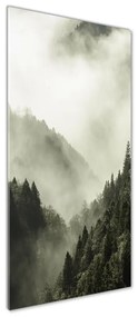 Tablou sticlă Ceață peste pădure