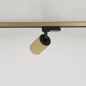 Spot pentru sina Track Project Collection, Anna auriu