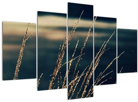 Tablou cu ierburi (150x105 cm)