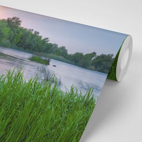 Fototapet autoadeziv răsărit de soare la râu