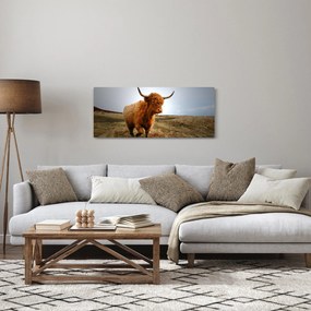 Tablou - Vaci scoțiene (120x50 cm)