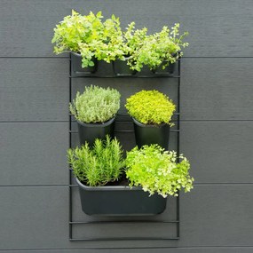 Nature Set jardiniera verticala pentru perete