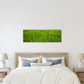 Tablou cu iaraba (cu ceas) (90x30 cm)