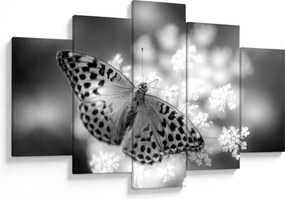 Tablou - Detailu cu fluture care polenizează floare (150x105 cm)