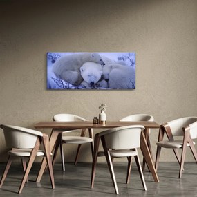 Tablou - Urși polari (120x50 cm)