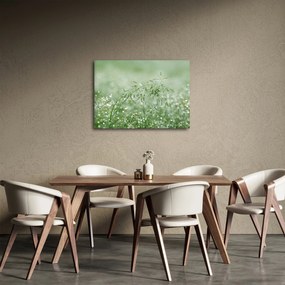 Tablou - Trandafir în iarbâ (70x50 cm)