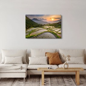 Tablou - Terase de orez (90x60 cm)