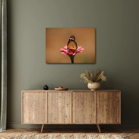Tablou cu fluture pe floare (70x50 cm)