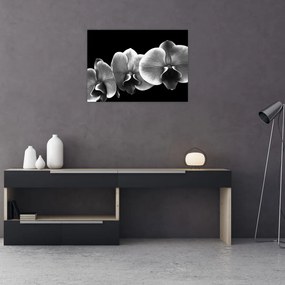 Tablou pe sticlă floare de orhidee (70x50 cm)