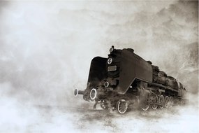 Tablou - Tren în ceață (90x60 cm)