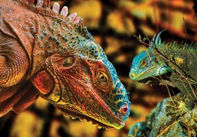 Fototapet - Varani (152,5x104 cm)