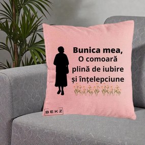 Cadou pentru Bunica - Perna Personalizata Bunica Mea Comoara Iubire Intelepciune Silueta cu Nepoata, 40x40 cm, Roz, Husa Detasabila, Perna Inclusa, BEKZ®