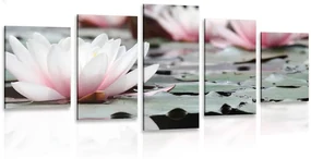 Tablou 5-piese floare de lotus