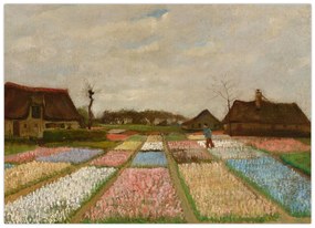 Tablou pe sticlă - Vincent van Gogh, Flower Beds in Holland, reproducere (70x50 cm)
