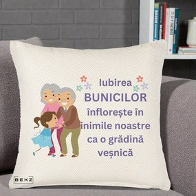 Cadou pentru Bunici - Perna Personalizata Bunicii Iubirea Infloreste Bunici cu Nepoata Colorat, 40x40 cm, Crem Reliefat, Husa Detasabila, Perna Inclusa, BEKZ®
