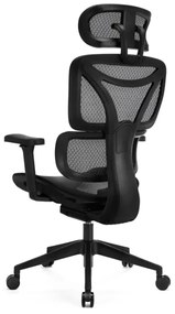 Scaun ergonomic de birou LEVANO negru