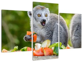 Tablou cu lemur (90x60 cm)