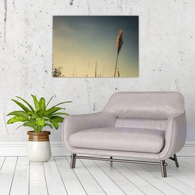 Tablou pe sticlă - Iarba (70x50 cm)