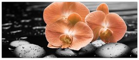Tablou - Orhidee portocalii (120x50 cm)