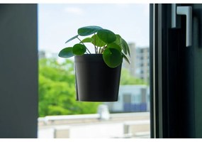 Set 2 ghivece cu ventuze pentru fereastră Esschert Design, înălțime 12,1 cm