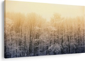 Tablou cu pădure geroasă (90x60 cm)