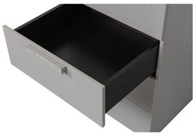 Dulap modular gri 55x210 cm Rens – WOOOD