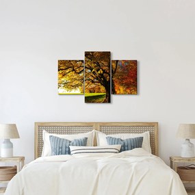 Tablou cu toamna (90x60 cm)