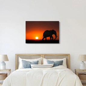 Tablou cu elefant în apus de soare (90x60 cm)