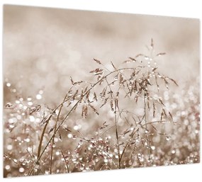 Tablou pe sticlă - Pajiște în tonuri de maro (70x50 cm)
