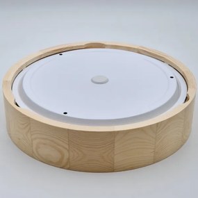 Plafonieră baie NATURAL 3xE27/15W/230V IP54 pin Ø 37 cm