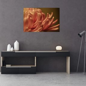 Tablou cu detailu florii (90x60 cm)