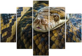 Tablou - Piton (150x105 cm)