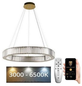 Lustră LED dimabilă pe cablu LED/50W/230V 3000-6500K crom/auriu + telecomandă