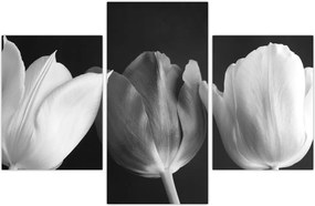 Tablou - Lalele alb negre (90x60 cm)