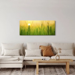 Tablou - Câmp cu cereale (120x50 cm)
