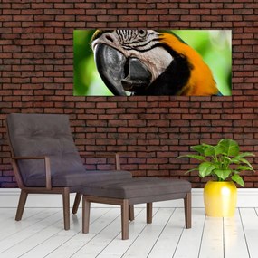 Tablou cu papagal (120x50 cm)